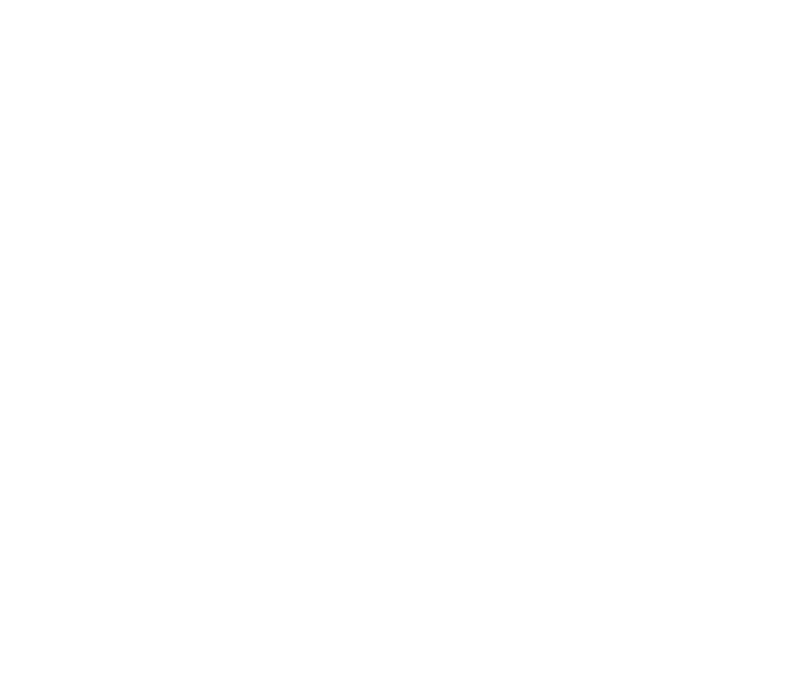 Leon logo