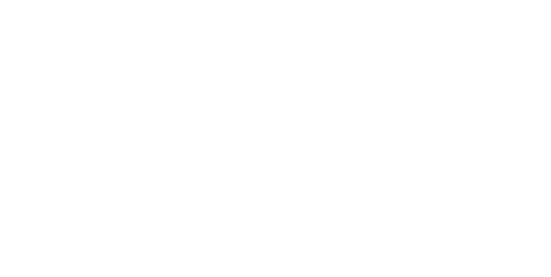Perfect Moose logo